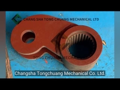 কংক্রিট পাম্প 10018071 এর জন্য ব্যবহৃত schwing SLEWING LEVER