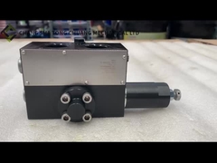 মাল্টিপ্লেক্স ভালভ শীট