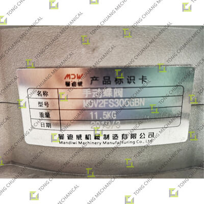 BV2FS300SN ডাবল ফ্ল্যাঞ্জ ম্যানুয়াল বাটারফ্লাই ভালভ, কংক্রিট মেশিনারি ডাবল ফ্ল্যাঞ্জ ম্যানুয়াল বাটারফ্লাই ভালভ, কংক্রিট সরঞ্জামের জন্য ম্যানুয়াল ডাবল-ফ্ল্যাঞ্জ বাটারফ্লাই ভালভ